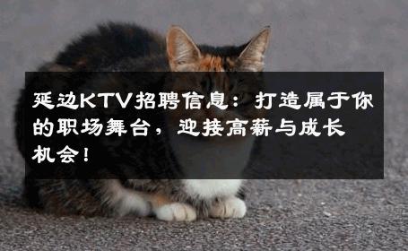 延边KTV招聘信息：打造属于你的职场舞台，迎接高薪与成长机会！