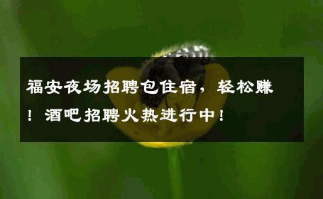 福安夜场招聘包住宿，轻松赚！酒吧招聘火热进行中！