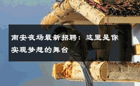 南安夜场最新招聘：这里是你实现梦想的舞台