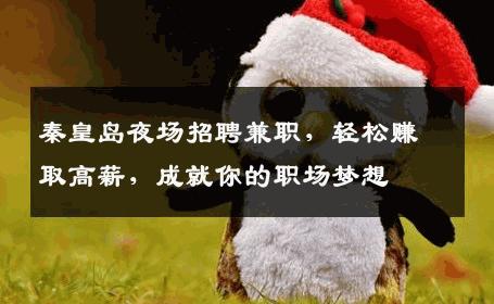 秦皇岛夜场招聘兼职，轻松赚取高薪，成就你的职场梦想
