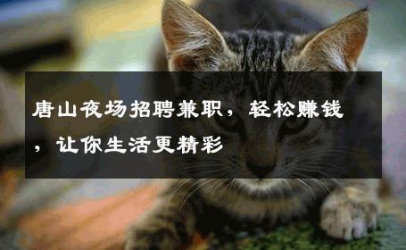 唐山夜场招聘兼职，轻松赚钱，让你生活更精彩