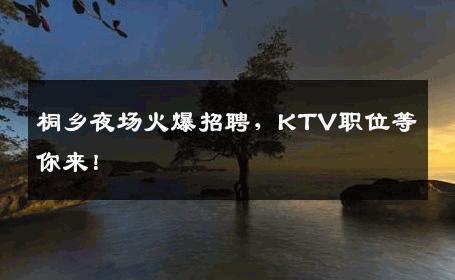 桐乡夜场火爆招聘，KTV职位等你来！