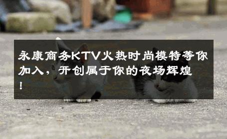 永康商务KTV火热时尚模特等你加入，开创属于你的夜场辉煌！