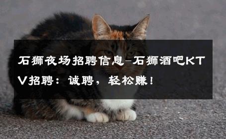 石狮夜场招聘信息-石狮酒吧KTV招聘：诚聘，轻松赚！