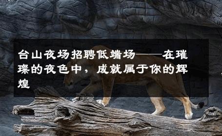 台山夜场招聘低端场——在璀璨的夜色中，成就属于你的辉煌