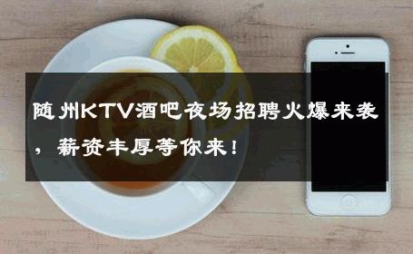 随州KTV酒吧夜场招聘火爆来袭，薪资丰厚等你来！