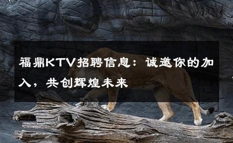 福鼎KTV招聘信息：诚邀你的加入，共创辉煌未来