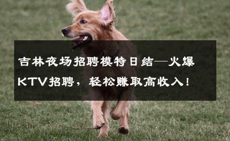 吉林夜场招聘模特日结—火爆KTV招聘，轻松赚取高收入！