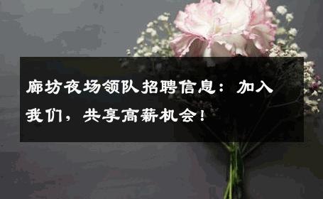 廊坊夜场领队招聘信息：加入我们，共享高薪机会！
