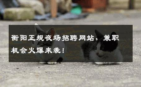 衡阳正规夜场招聘网站，兼职机会火爆来袭！