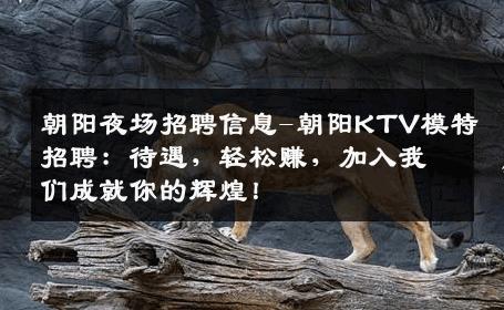 朝阳夜场招聘信息-朝阳KTV模特招聘：待遇，轻松赚，加入我们成就你的辉煌！
