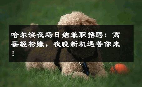 哈尔滨夜场日结兼职招聘：高薪轻松赚，夜晚新机遇等你来！