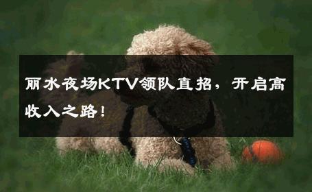 丽水夜场KTV领队直招，开启高收入之路！