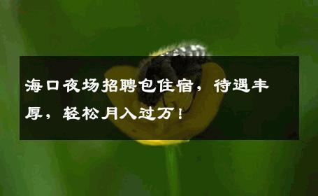 海口夜场招聘包住宿，待遇丰厚，轻松月入过万！