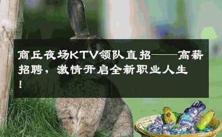 商丘夜场KTV领队直招——高薪招聘，激情开启全新职业人生！