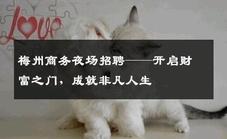 梅州商务夜场招聘——开启财富之门，成就非凡人生