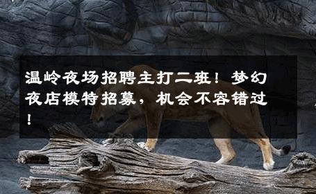 温岭夜场招聘主打二班！梦幻夜店模特招募，机会不容错过！