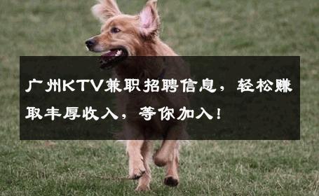 广州KTV兼职招聘信息，轻松赚取丰厚收入，等你加入！