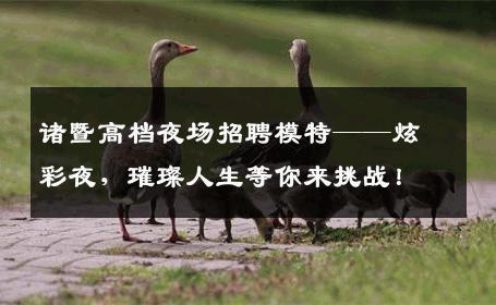 诸暨高档夜场招聘模特——炫彩夜，璀璨人生等你来挑战！