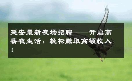 延安最新夜场招聘——开启高薪夜生活，轻松赚取高额收入！