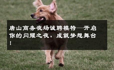 唐山商务夜场诚聘模特—开启你的闪耀之夜，成就梦想舞台！