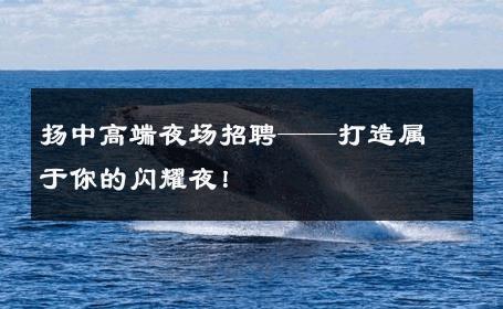 扬中高端夜场招聘——打造属于你的闪耀夜！