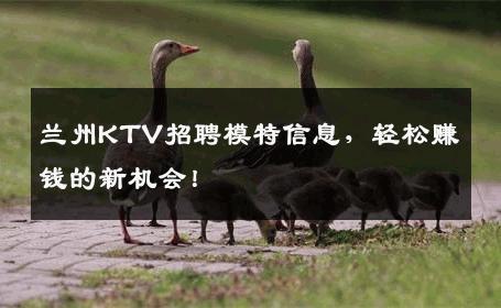 兰州KTV招聘模特信息，轻松赚钱的新机会！