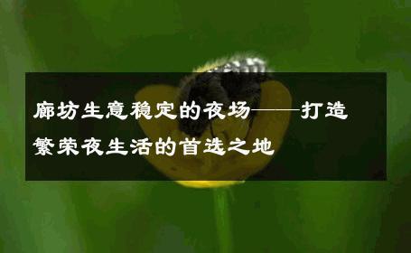 廊坊生意稳定的夜场——打造繁荣夜生活的首选之地