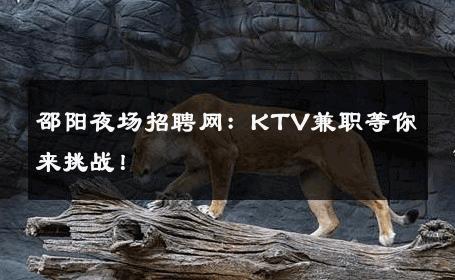 邵阳夜场招聘网：KTV兼职等你来挑战！