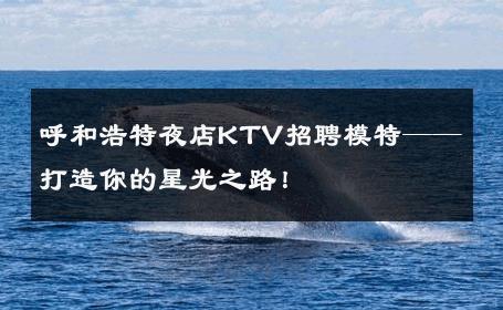 呼和浩特夜店KTV招聘模特——打造你的星光之路！