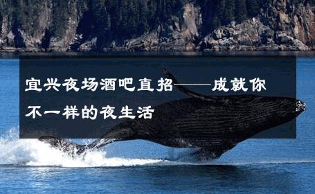 宜兴夜场酒吧直招——成就你不一样的夜生活