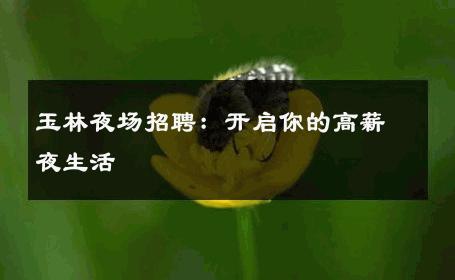 玉林夜场招聘：开启你的高薪夜生活