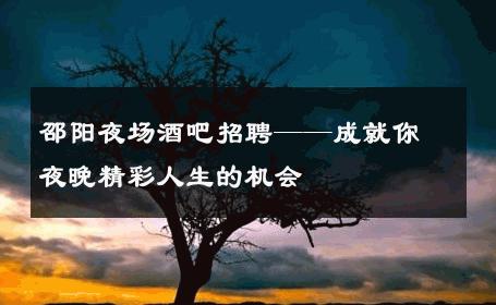 邵阳夜场酒吧招聘——成就你夜晚精彩人生的机会