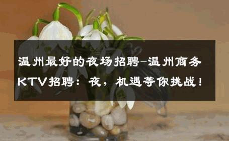 温州最好的夜场招聘-温州商务KTV招聘：夜，机遇等你挑战！
