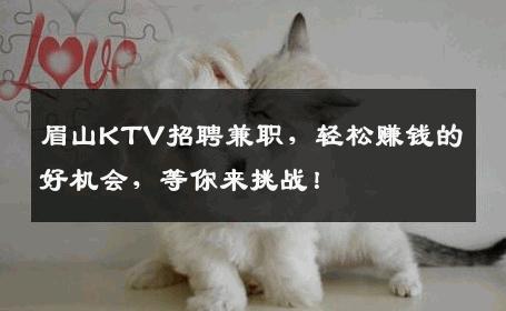 眉山KTV招聘兼职，轻松赚钱的好机会，等你来挑战！