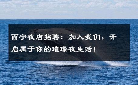 西宁夜店招聘：加入我们，开启属于你的璀璨夜生活！