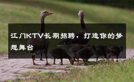 江门KTV长期招聘，打造你的梦想舞台