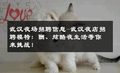武汉夜场招聘信息-武汉夜店招聘模特：酬、炫酷夜生活等你来挑战！