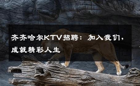 齐齐哈尔KTV招聘：加入我们，成就精彩人生