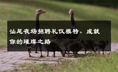 汕尾夜场招聘礼仪模特，成就你的璀璨之路