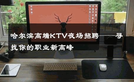 哈尔滨高端KTV夜场招聘——寻找你的职业新高峰