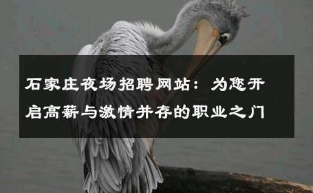 石家庄夜场招聘网站：为您开启高薪与激情并存的职业之门