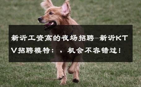 新沂工资高的夜场招聘-新沂KTV招聘模特：，机会不容错过！