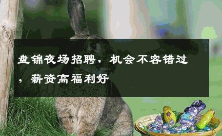 盘锦夜场招聘，机会不容错过，薪资高福利好