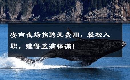 安吉夜场招聘无费用，轻松入职，赚得盆满钵满！