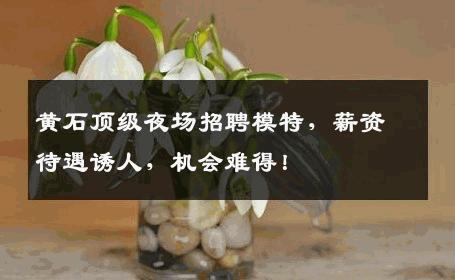 黄石顶级夜场招聘模特，薪资待遇诱人，机会难得！