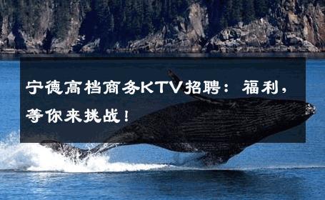 宁德高档商务KTV招聘：福利，等你来挑战！