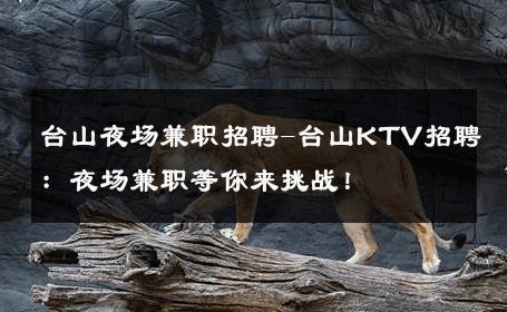 台山夜场兼职招聘-台山KTV招聘：夜场兼职等你来挑战！