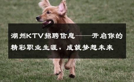 湖州KTV招聘信息——开启你的精彩职业生涯，成就梦想未来
