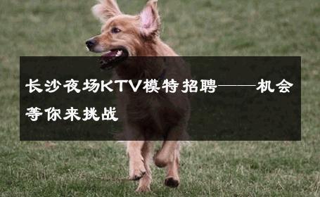 长沙夜场KTV模特招聘——机会等你来挑战